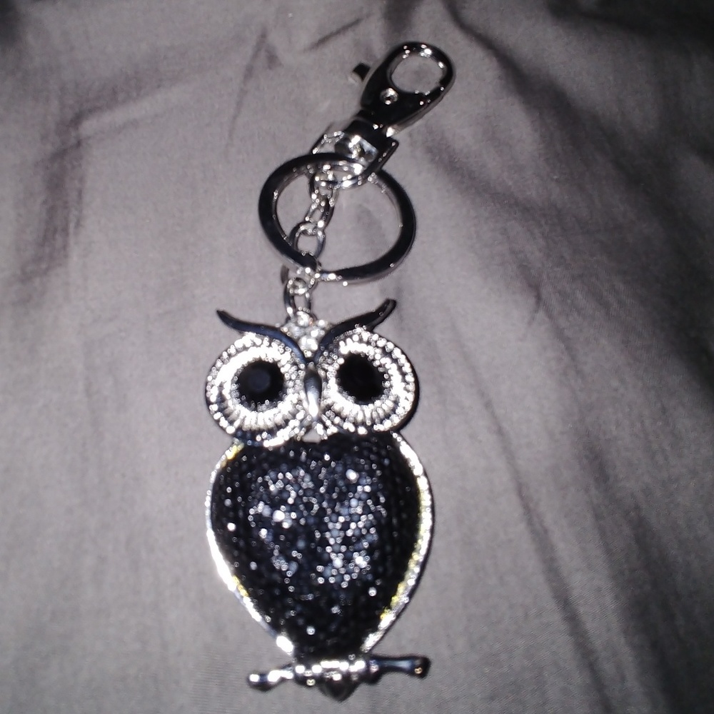 Owl key chain